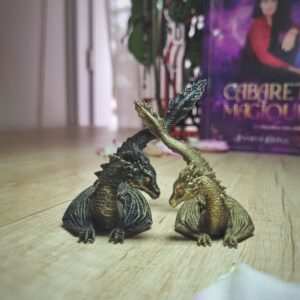 Minis Dragons Gardiens